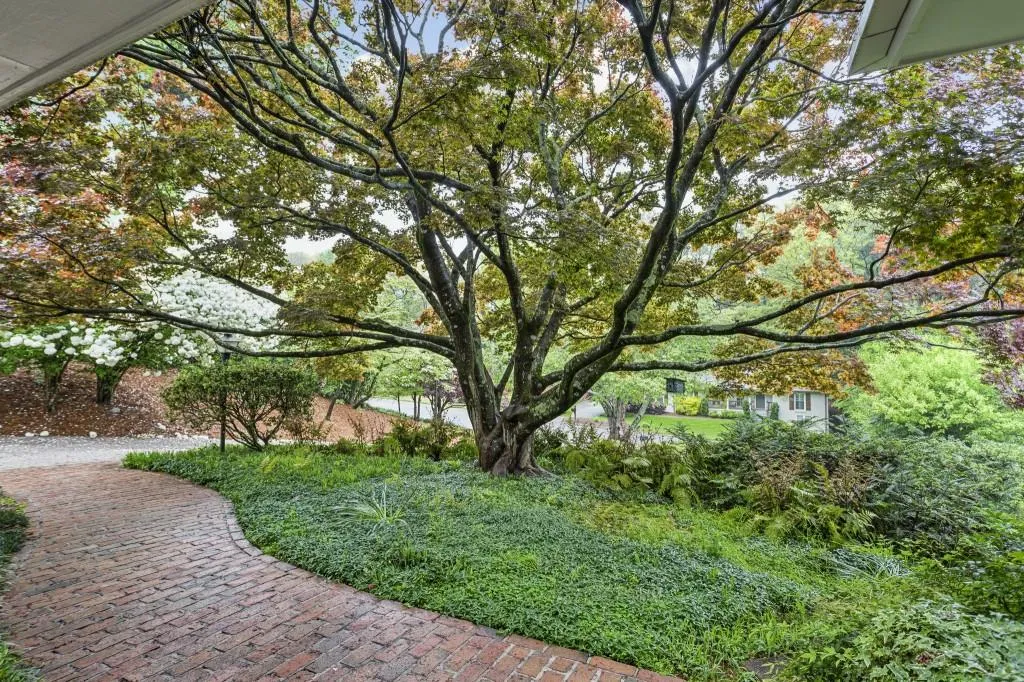 255 Beachland Drive, Atlanta, Georgia 30342, 3 Bedrooms Bedrooms, ,3 BathroomsBathrooms,Residential,Sold,255 Beachland Drive,7369030