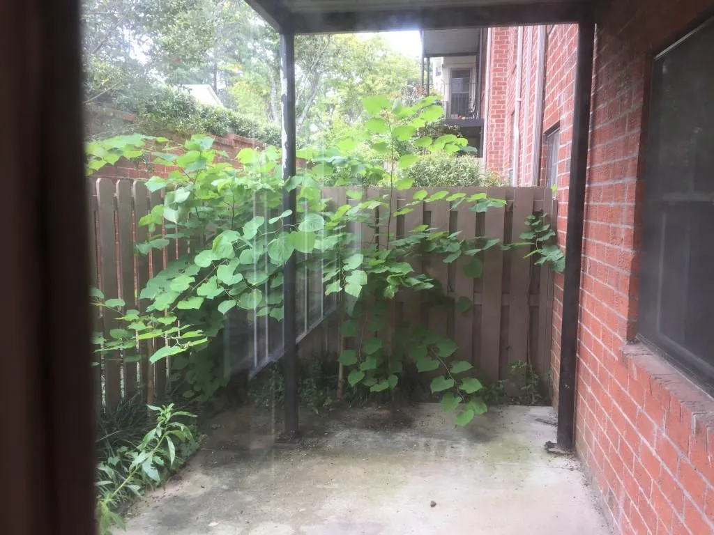 6851 Roswell Road Ne Unit D4, Atlanta, Georgia 30328, 3 Bedrooms Bedrooms, ,2 BathroomsBathrooms,Residential,Sold,6851 Roswell Road Ne Unit D4,5913735