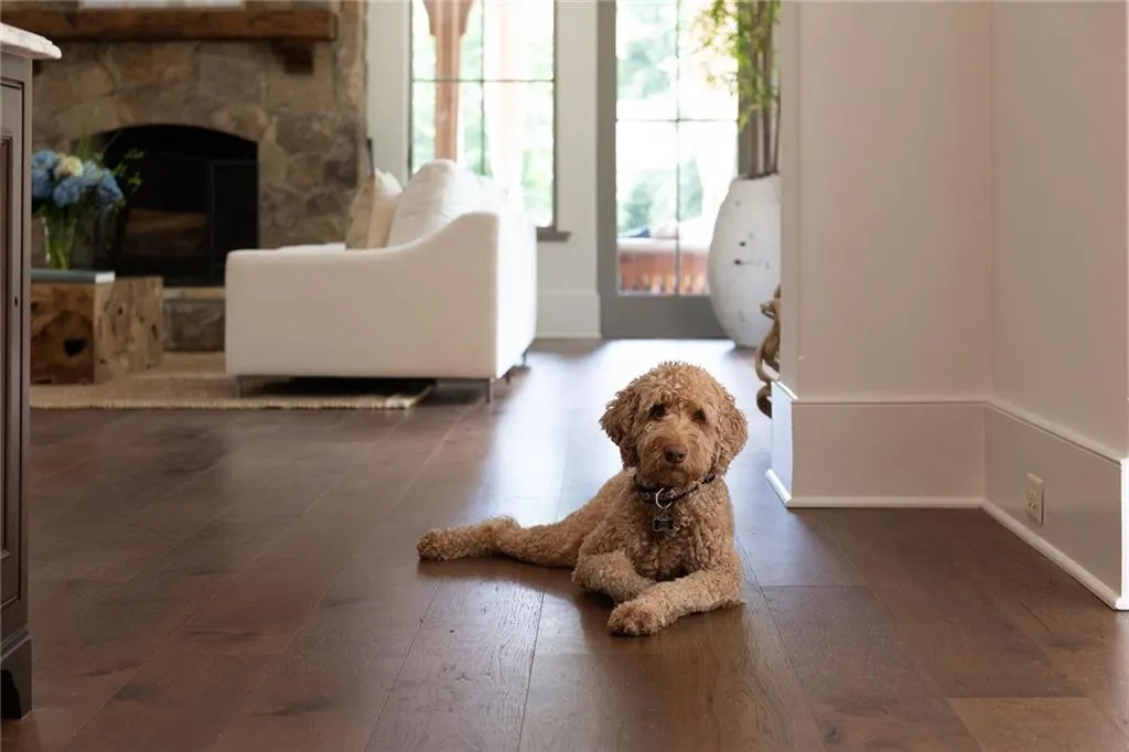 1714 Brandon Hall Drive, Atlanta, Georgia 30350, 4 Bedrooms Bedrooms, ,5 BathroomsBathrooms,Residential,Sold,1714 Brandon Hall Drive,7068576 1714 Brandon Hall Drive, Atlanta, Georgia 30350, 4 Bedrooms Bedrooms, ,5 BathroomsBathrooms,Residential,Sold,1714 Brandon Hall Drive,7068576