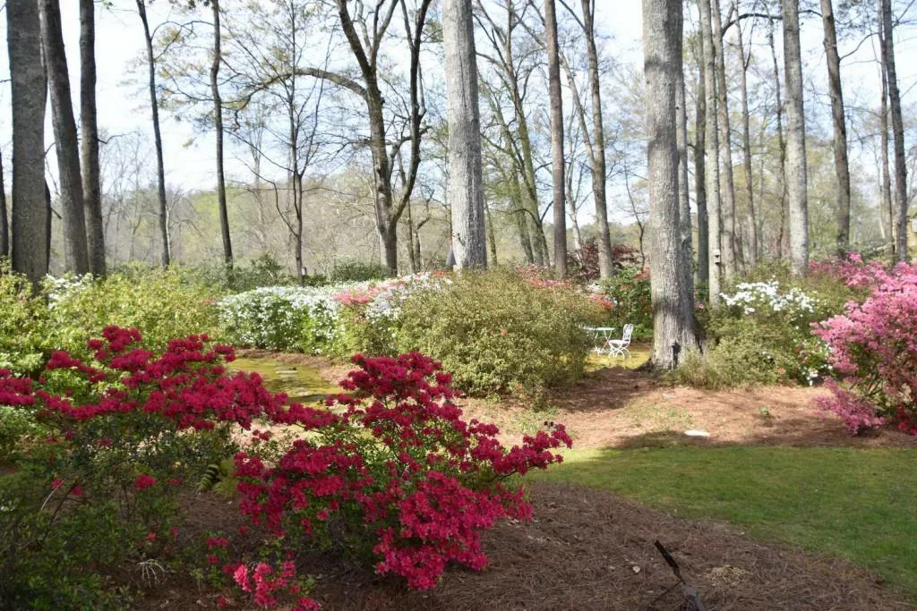1700 Brandon Hall Drive, Sandy Springs, Georgia 30350, 6 Bedrooms Bedrooms, ,4 BathroomsBathrooms,Residential,Sold,1700 Brandon Hall Drive,5999284