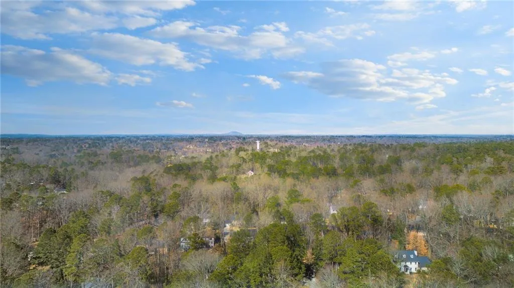 View of local wilderness
