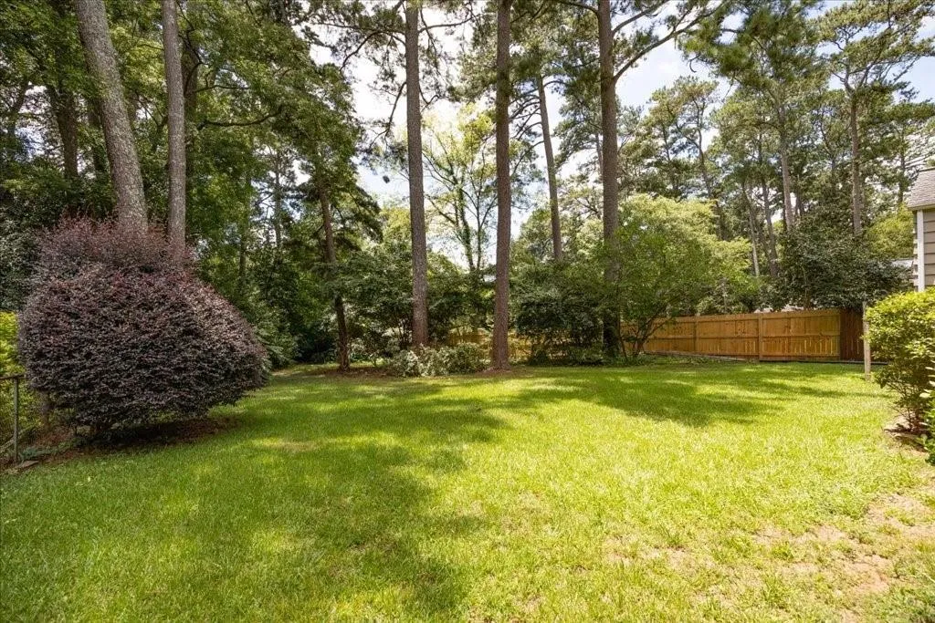 Expansive back yard