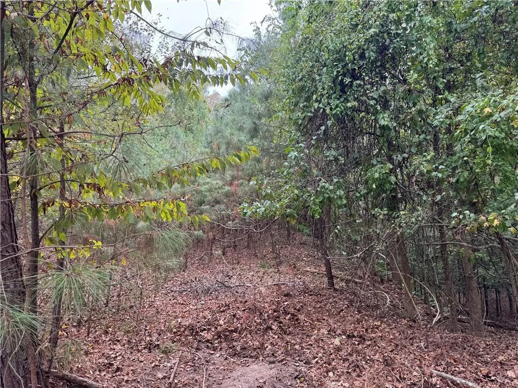 View of wooded area