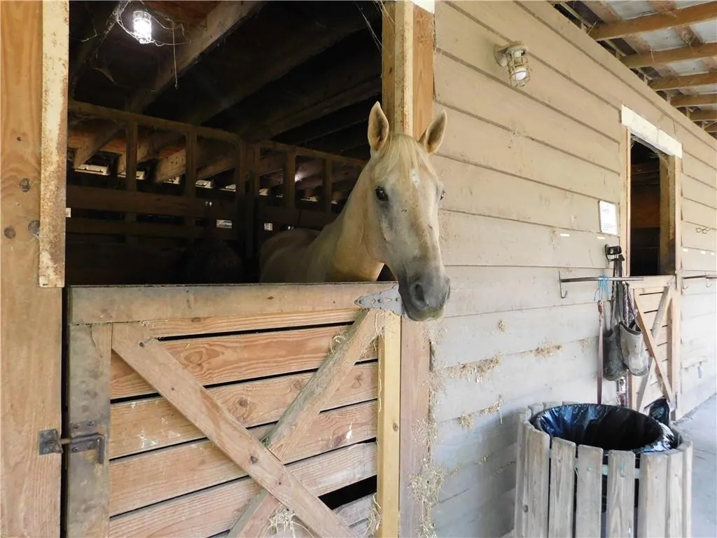 Community Equestrian center