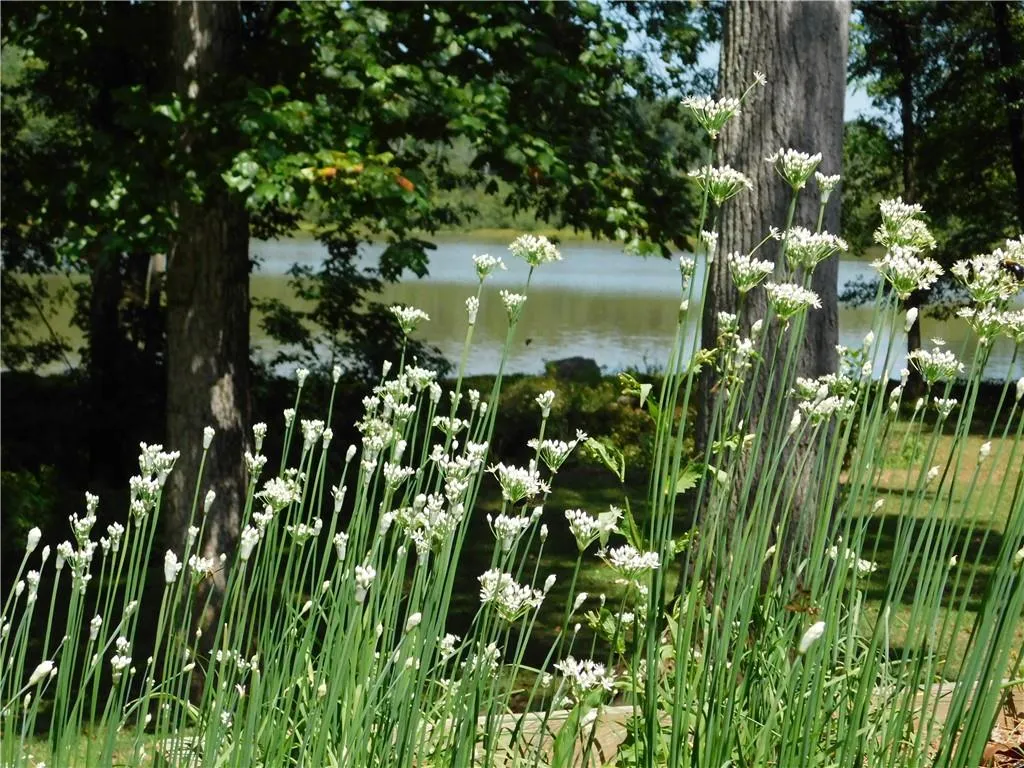 105 River Landing, Atlanta, Georgia 30350, 5 Bedrooms Bedrooms, ,4 BathroomsBathrooms,Residential,Sold,105 River Landing,7443840