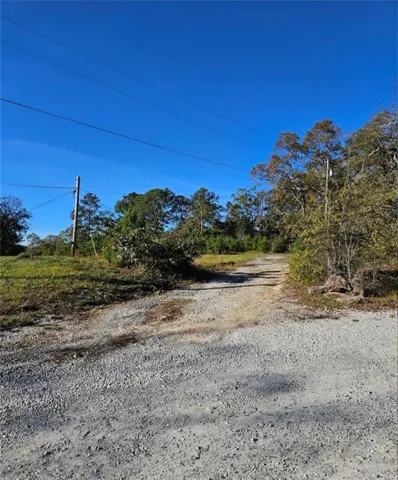 Gravel drive leading through a natural landscape with mature trees and clear blue skies