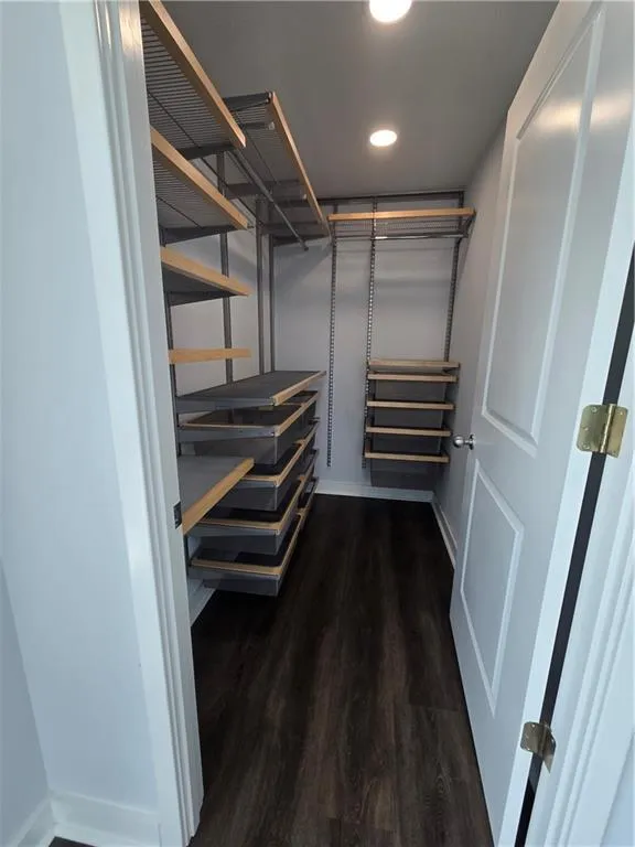 Spacious closet featuring wood finished floors