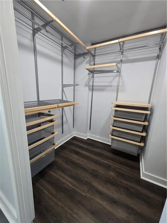 Spacious closet featuring wood finished floors