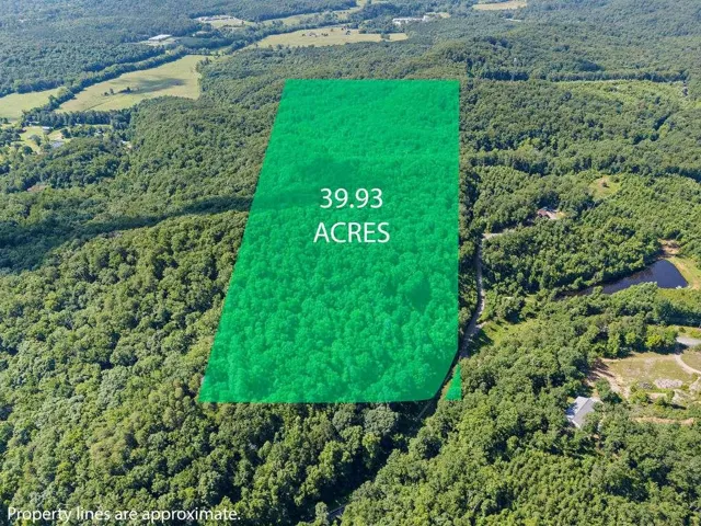 0 Shinbone Ridge Road, Lafayette, Georgia 30728