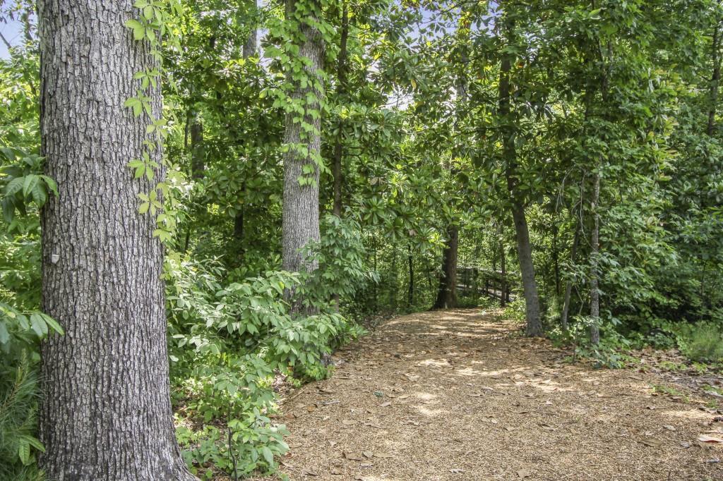 Aria Amenity - Hiking Trail