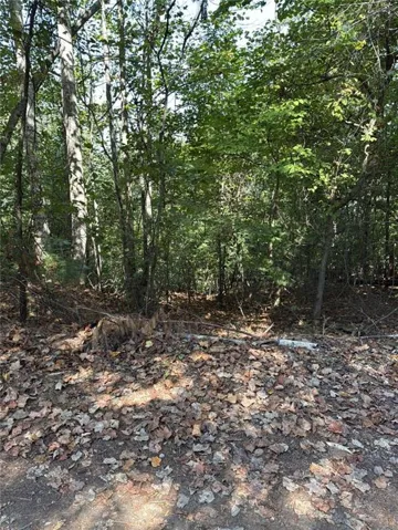 946 Aurora Lane, Ranger, Georgia 30734