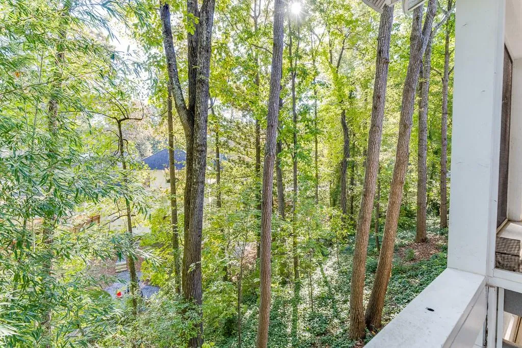 View of nature