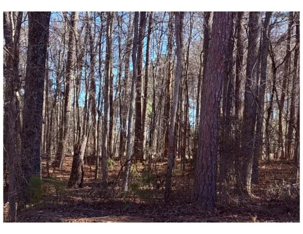 3297 Lakeview Parkway, Villa Rica, Georgia 30180