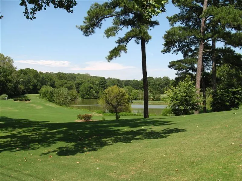 View of property's community with a yard, a water view, and a forest view