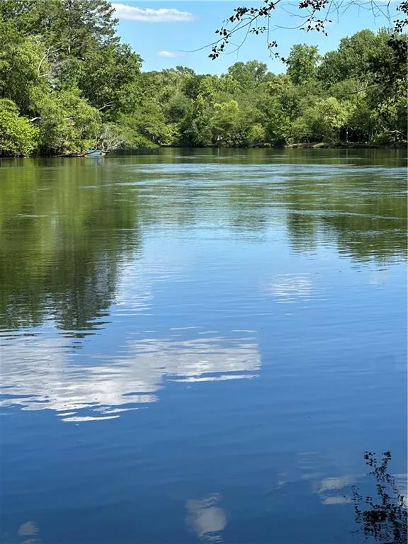 View of Chattahoochee River from rear of property
