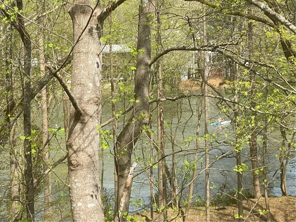 View of Chattahoochee River from Deck of Home