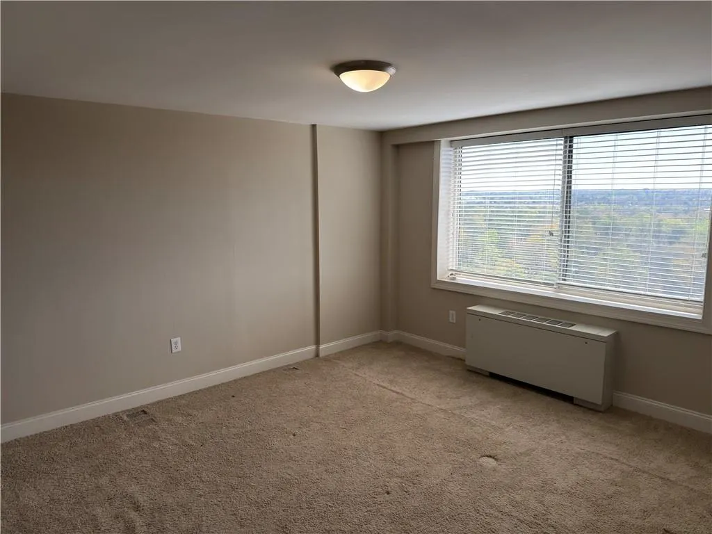 Unfurnished room featuring light colored carpet and radiator heating unit