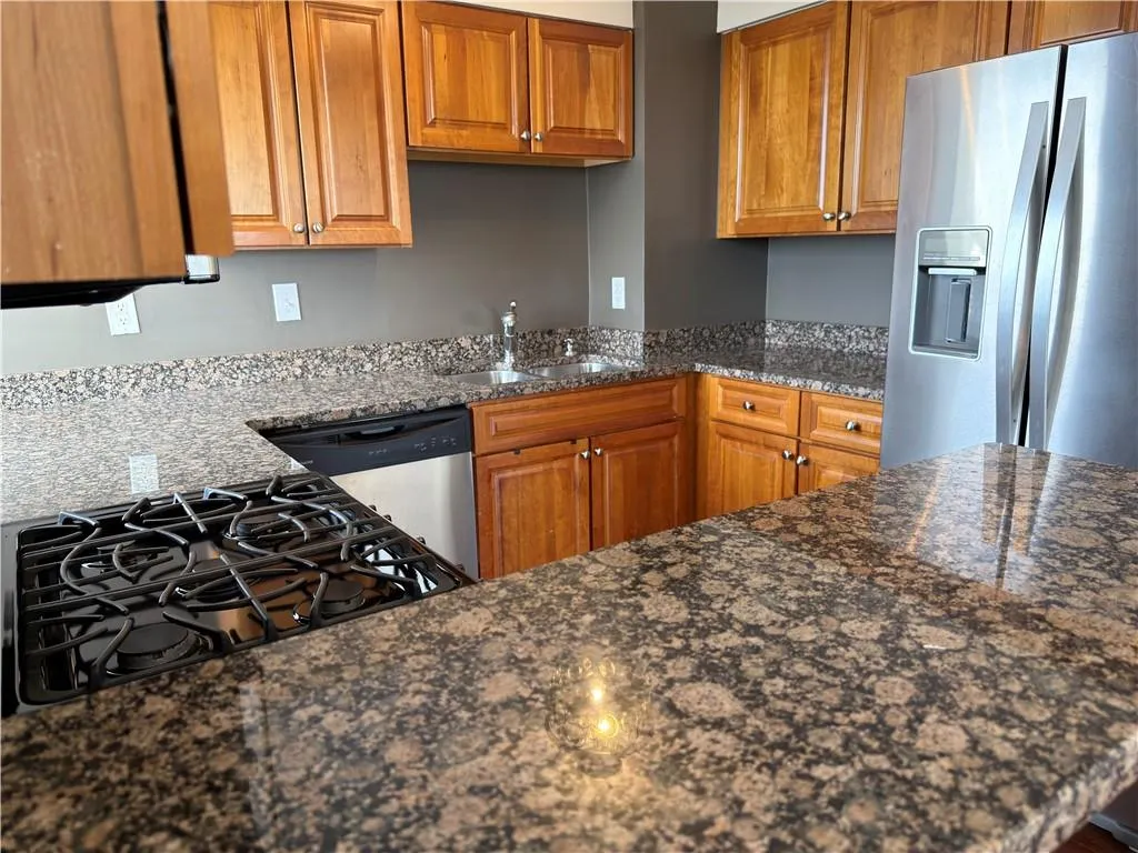 Kitchen with stainless steel appliances, wood finish cabinetry, and dark stone countertops