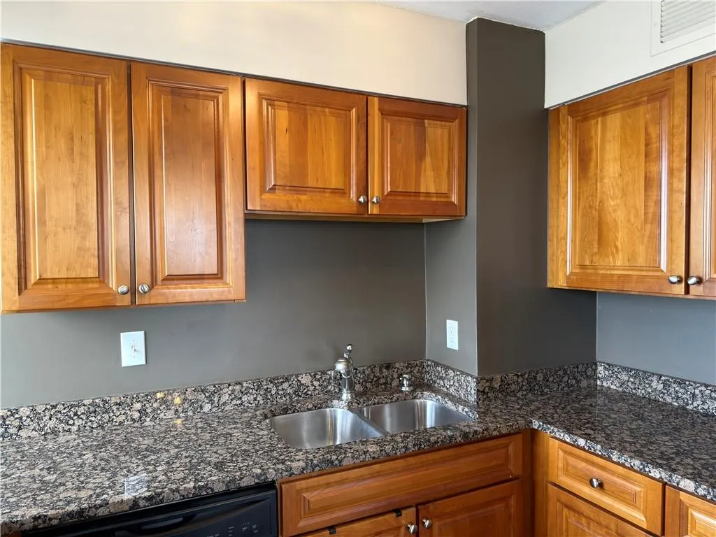 Kitchen with wood finish cabinetry, dark stone counters, and dishwasher