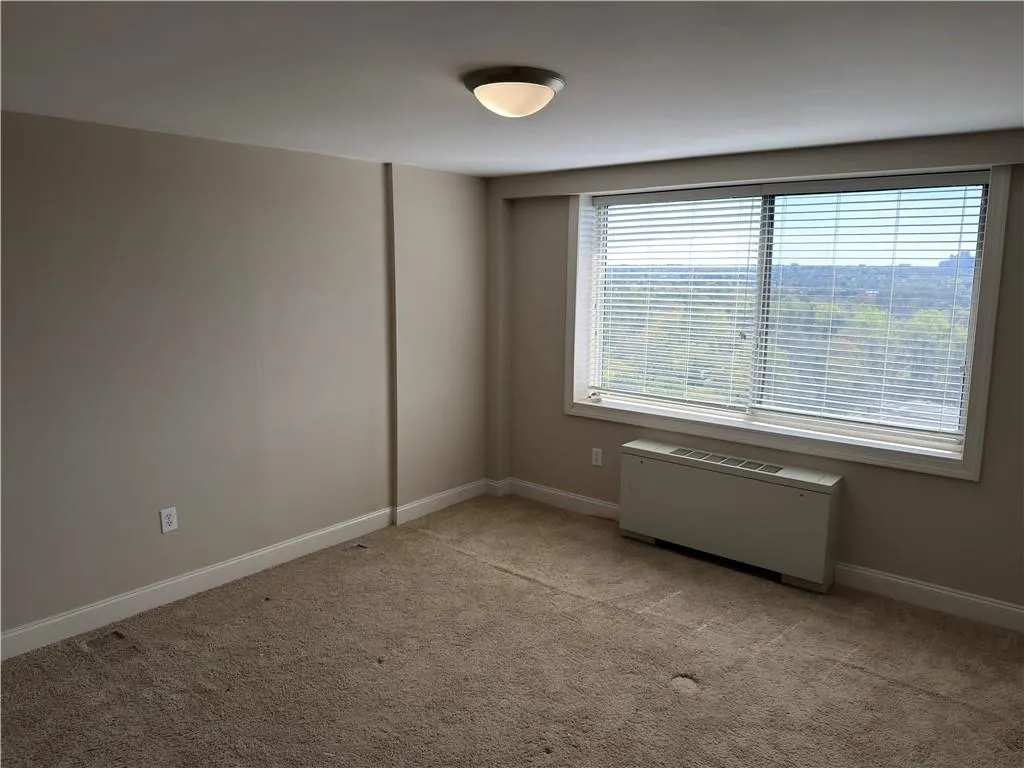 Unfurnished room with light carpet and baseboards