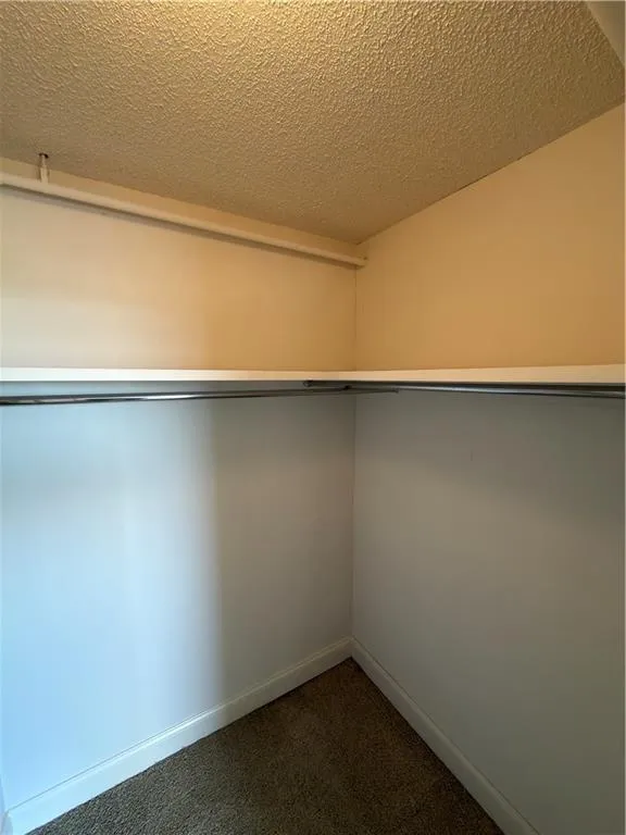 Walk in closet featuring dark colored carpet