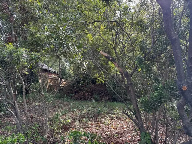 View of woods