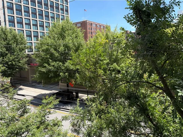 620 Glen Iris Ne Unit 207, Atlanta, Georgia 30308
