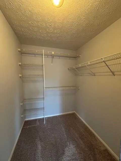 Spacious closet featuring carpet