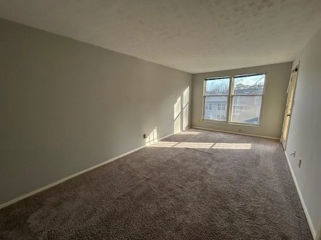 Unfurnished room with a textured ceiling and light colored carpet
