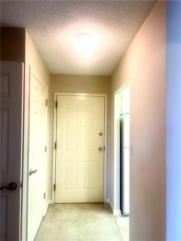 Entryway featuring light carpet, baseboards, and a textured ceiling