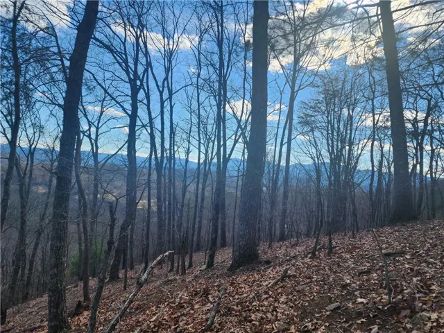 0 Trackrock Gap Road, Blairsville, Georgia 30514