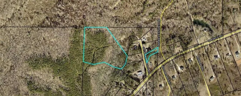 0 George Arnold Road, Newnan, Georgia 30263