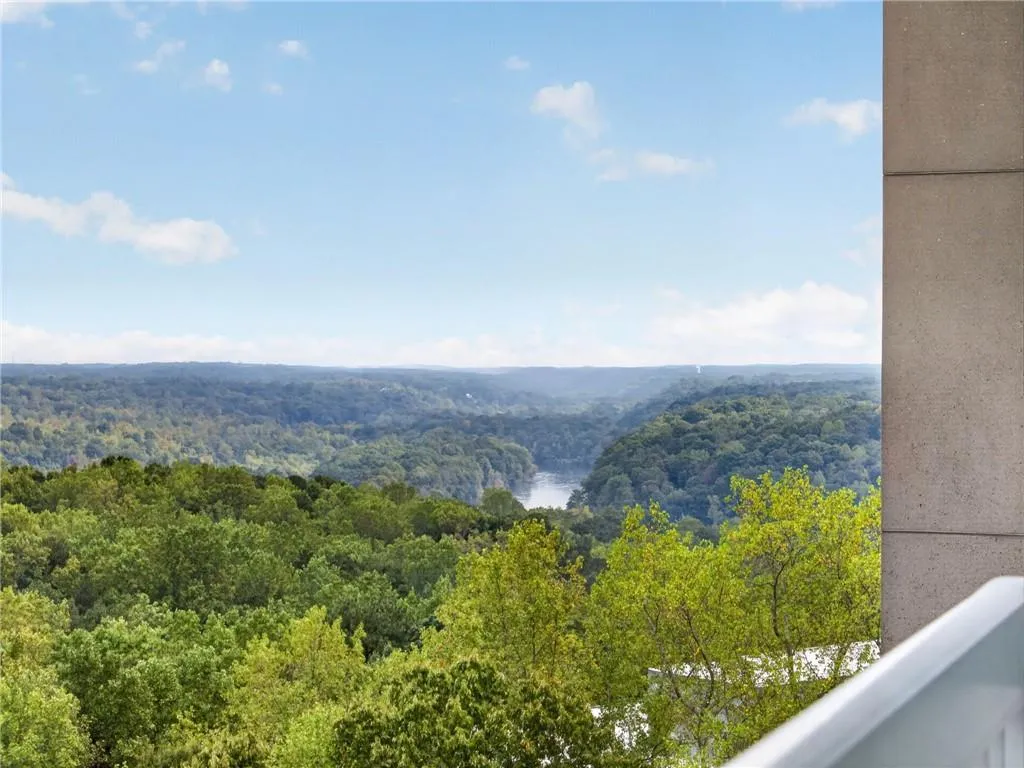 View of the Chattahoochee River.