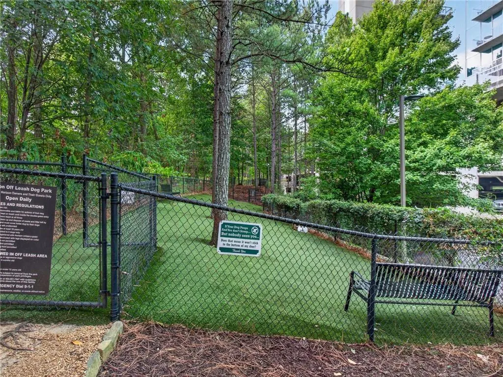 Fenced dog park with artificial turf
