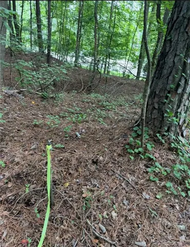 Wooded lot featuring mature trees, natural ground cover, and varied topography