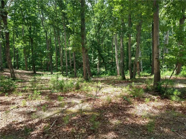 View of wooded area