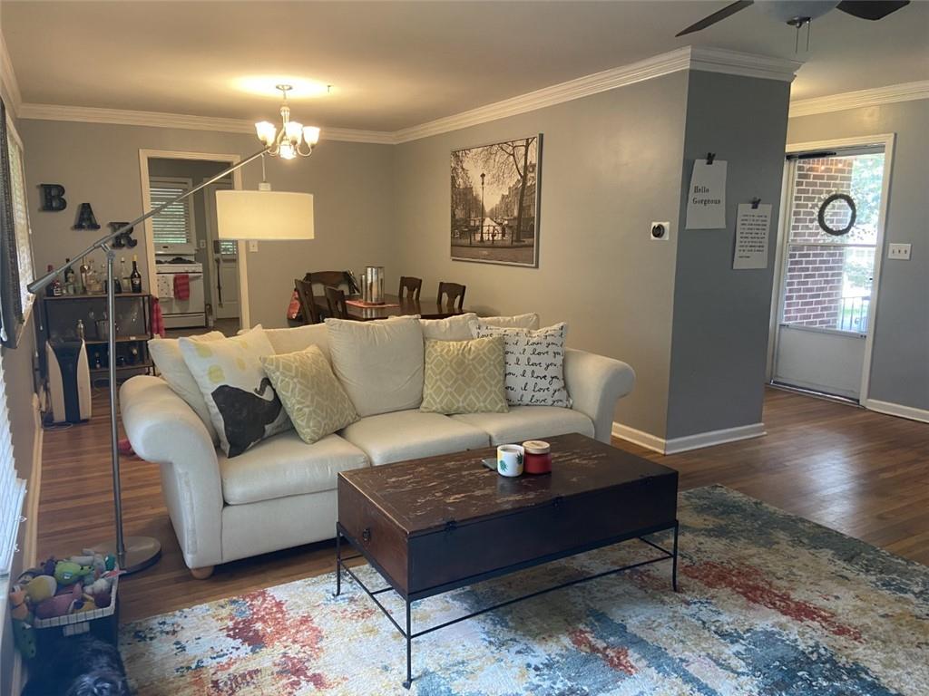 Living room featuring dark hardwood / wood-style floors, ceiling fan with notable chandelier, and ornamental molding