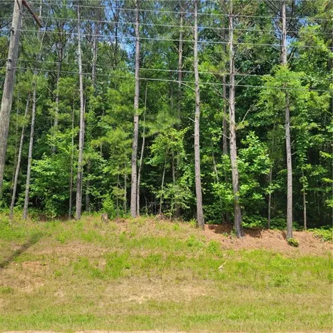 Wooded lot featuring mature pine trees and varied deciduous foliage