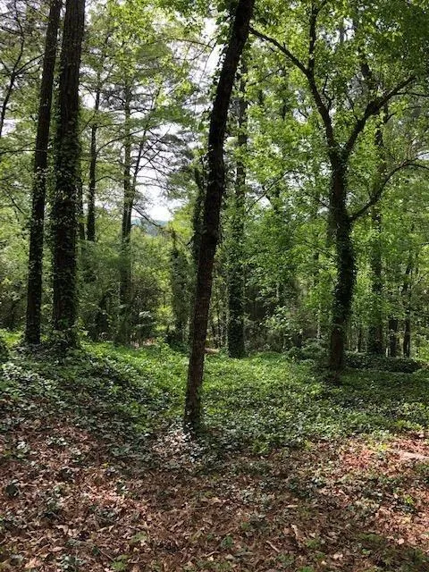 845 Crest Valley Drive, Sandy Springs, Georgia 30327, 4 Bedrooms Bedrooms, ,3 BathroomsBathrooms,Residential,Sold,845 Crest Valley Drive,6537588