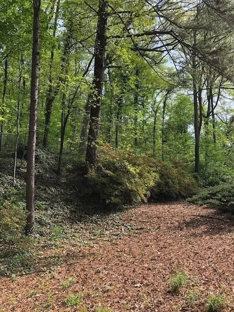 845 Crest Valley Drive, Sandy Springs, Georgia 30327, 4 Bedrooms Bedrooms, ,3 BathroomsBathrooms,Residential,Sold,845 Crest Valley Drive,6537588