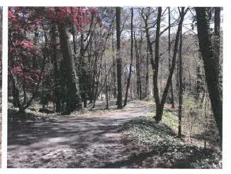 845 Crest Valley Drive, Sandy Springs, Georgia 30327, 4 Bedrooms Bedrooms, ,3 BathroomsBathrooms,Residential,Sold,845 Crest Valley Drive,6537588