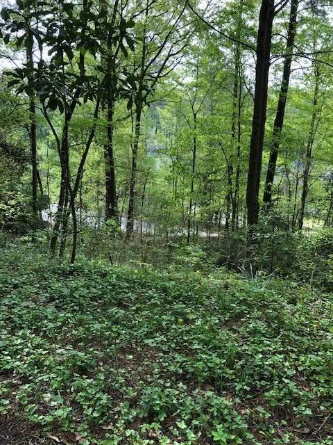 845 Crest Valley Drive, Sandy Springs, Georgia 30327, 4 Bedrooms Bedrooms, ,3 BathroomsBathrooms,Residential,Sold,845 Crest Valley Drive,6537588