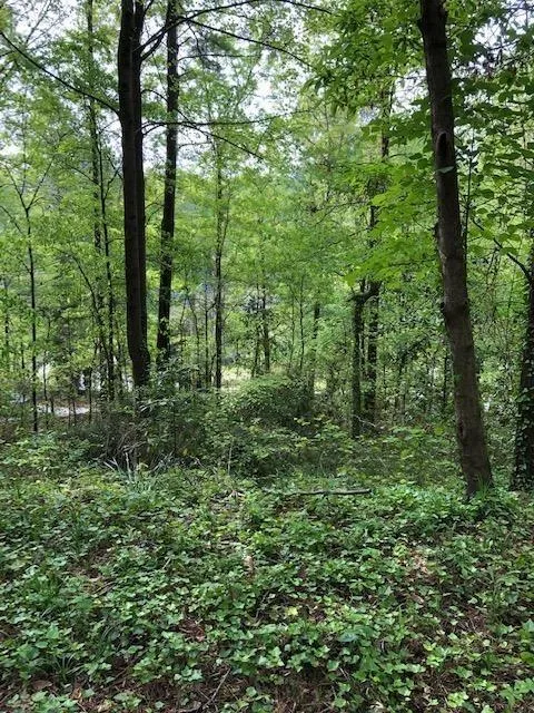 845 Crest Valley Drive, Sandy Springs, Georgia 30327, 4 Bedrooms Bedrooms, ,3 BathroomsBathrooms,Residential,Sold,845 Crest Valley Drive,6537588