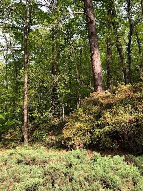 845 Crest Valley Drive, Sandy Springs, Georgia 30327, 4 Bedrooms Bedrooms, ,3 BathroomsBathrooms,Residential,Sold,845 Crest Valley Drive,6537588