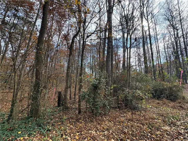 View of wooded area
