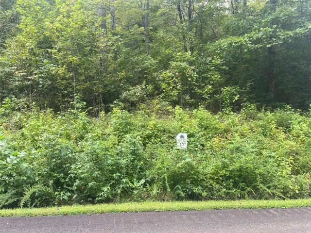 Lot 17 Staurolite Mountain Drive, Blue Ridge, Georgia 30513