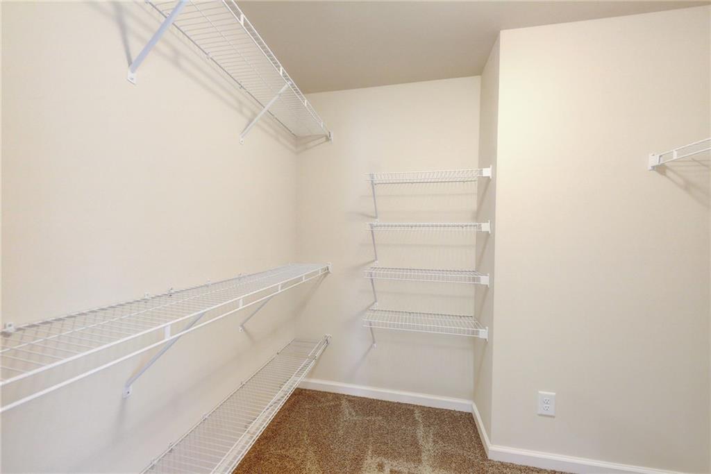 Walk in closet featuring carpet flooring