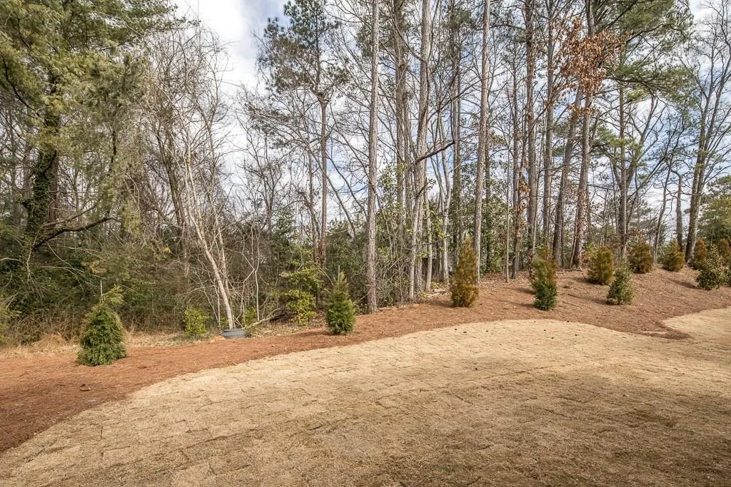 237 Belle Lane, Sandy Springs, Georgia 30328, 5 Bedrooms Bedrooms, ,5 BathroomsBathrooms,Residential,Sold,237 Belle Lane,6009465