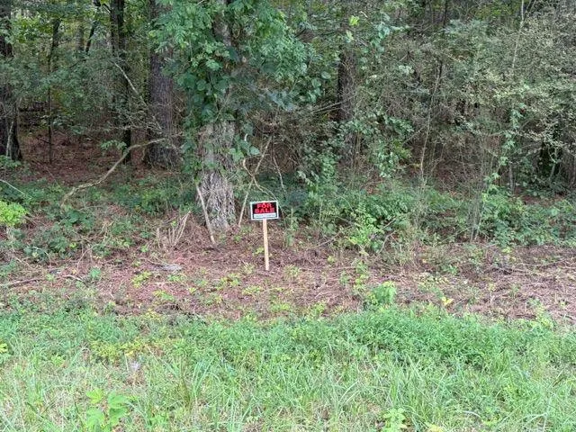 0 Iron Hill Road Lot 4, Taylorsville, Georgia 30178