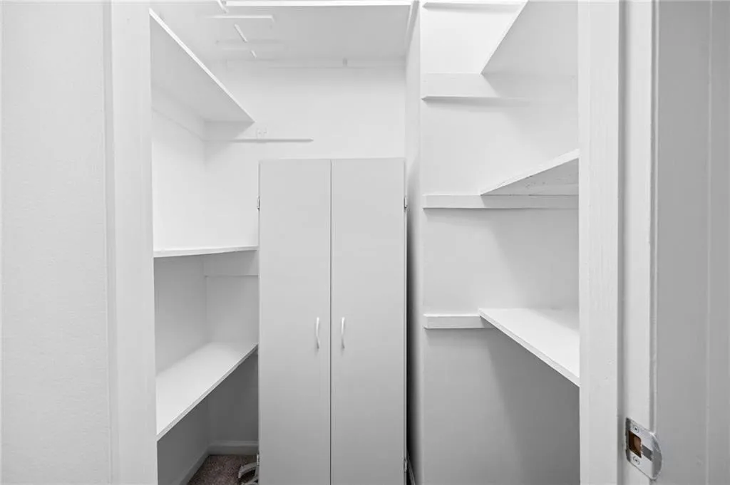 Spacious closet with carpet